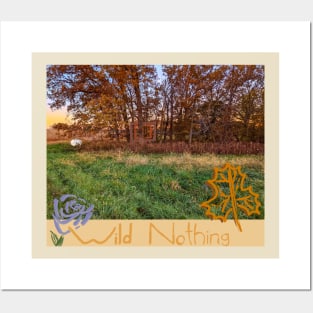 Wild Nothing Band Fan Posters and Art